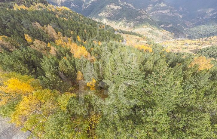 Idònia parcel·la de compra en el sector esquiabl