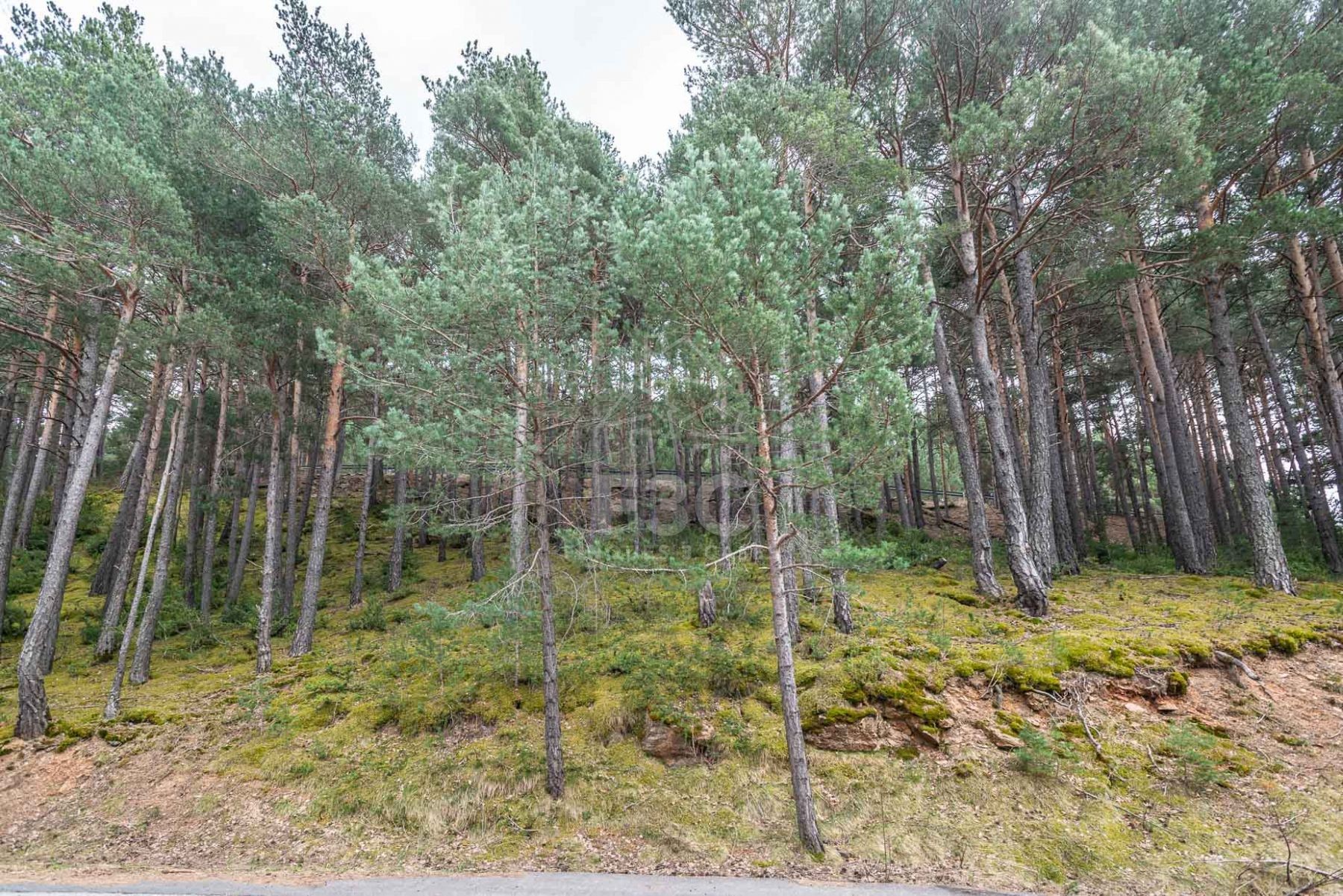 Situat en una zona residencial a la sortida de Jub