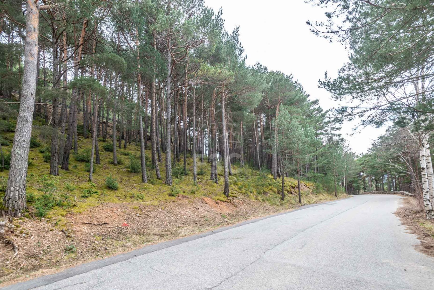 Situat en una zona residencial a la sortida de Jub