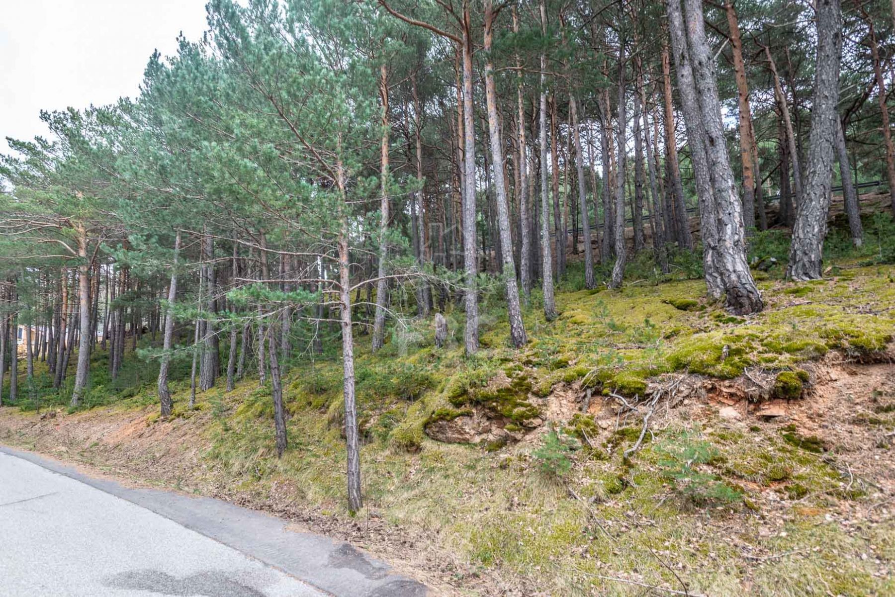 Situat en una zona residencial a la sortida de Jub