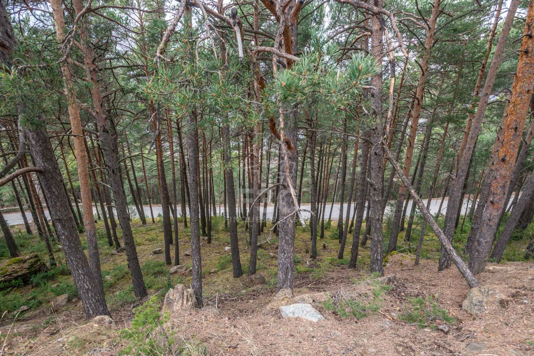 Situat en una zona residencial a la sortida de Jub
