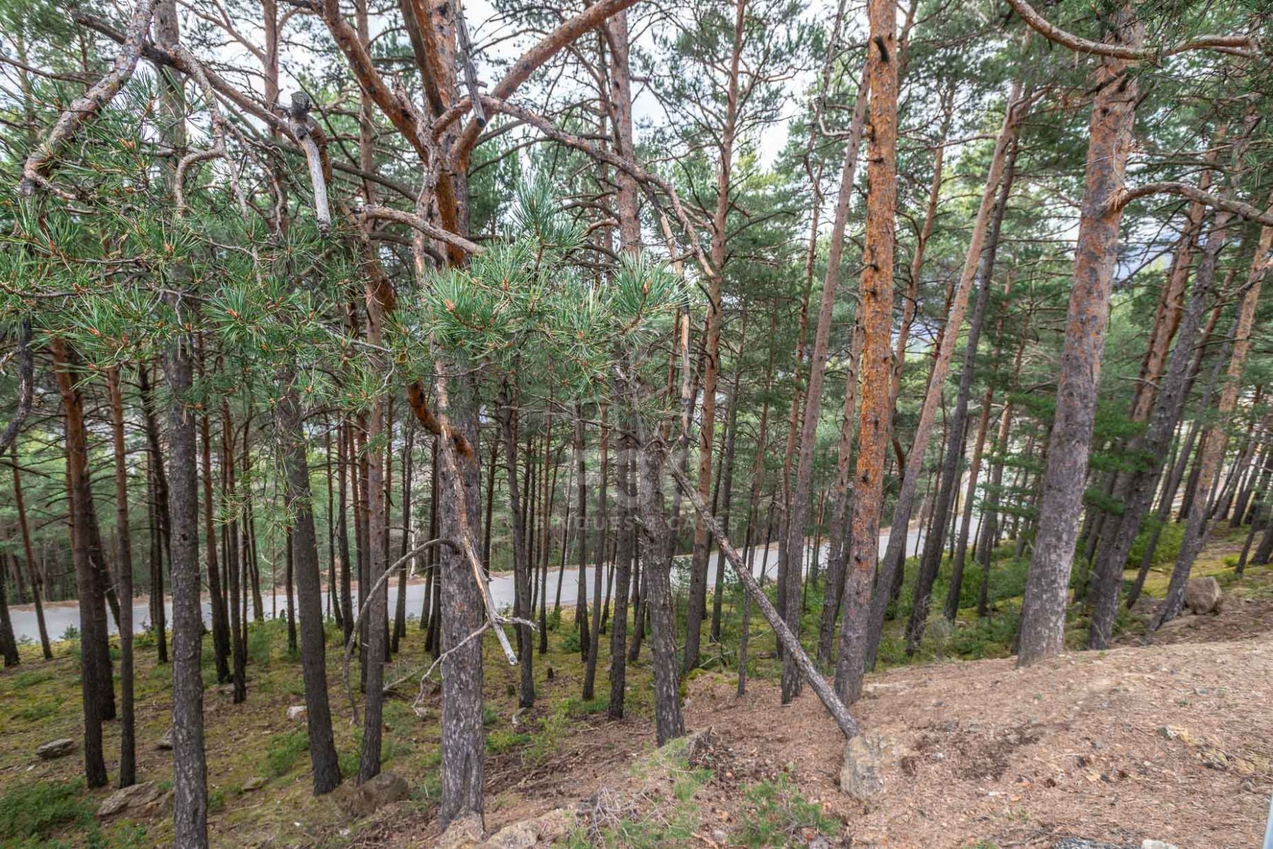 Situat en una zona residencial a la sortida de Jub