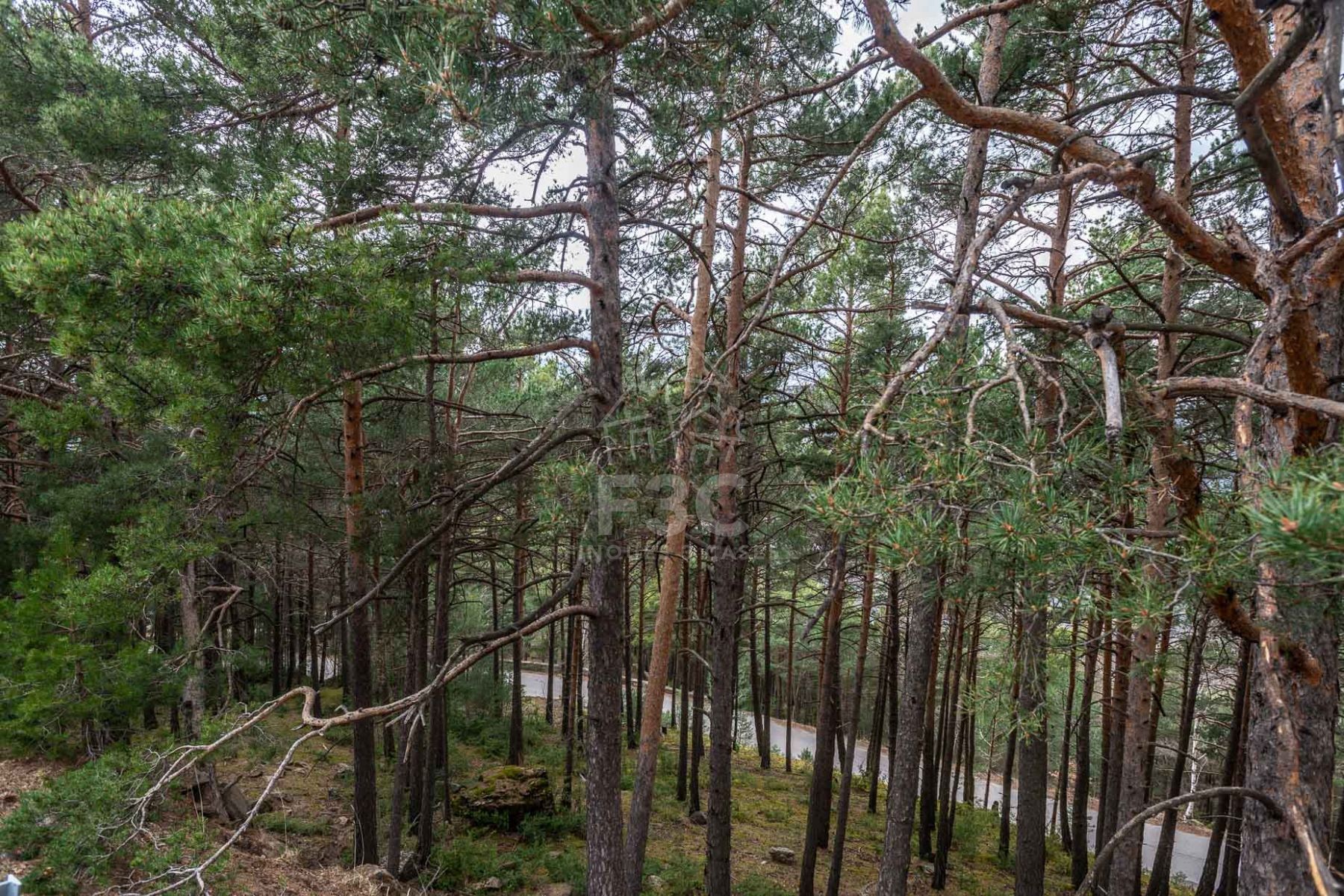 Situat en una zona residencial a la sortida de Jub