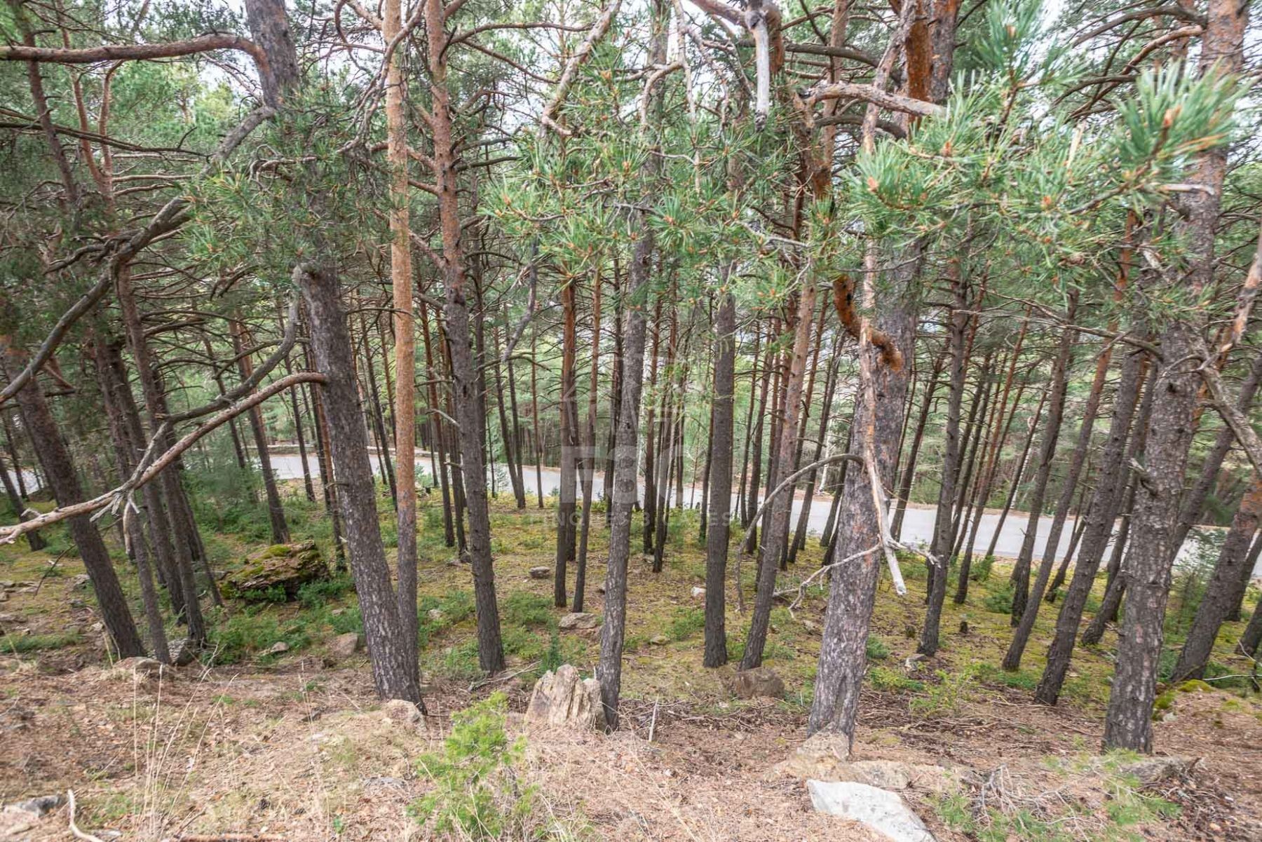 Situat en una zona residencial a la sortida de Jub