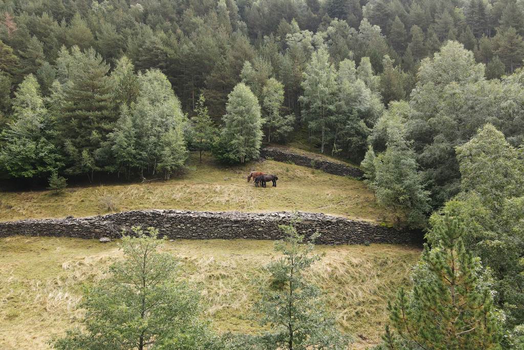 Terreny a la venda a Llorts, parròquia d'Ordino,
