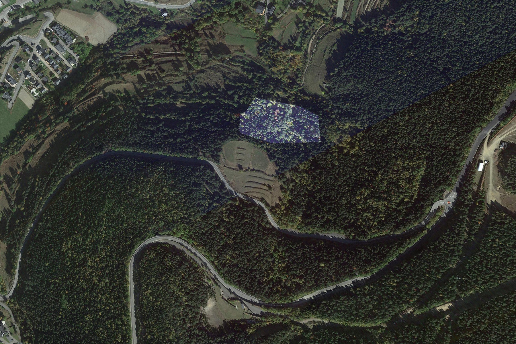 Terreny a Pal, La Massana, amb una extensió de 53