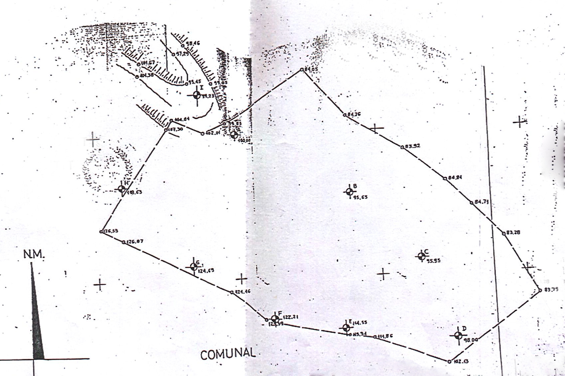Terreny a Pal, La Massana, amb una extensió de 53