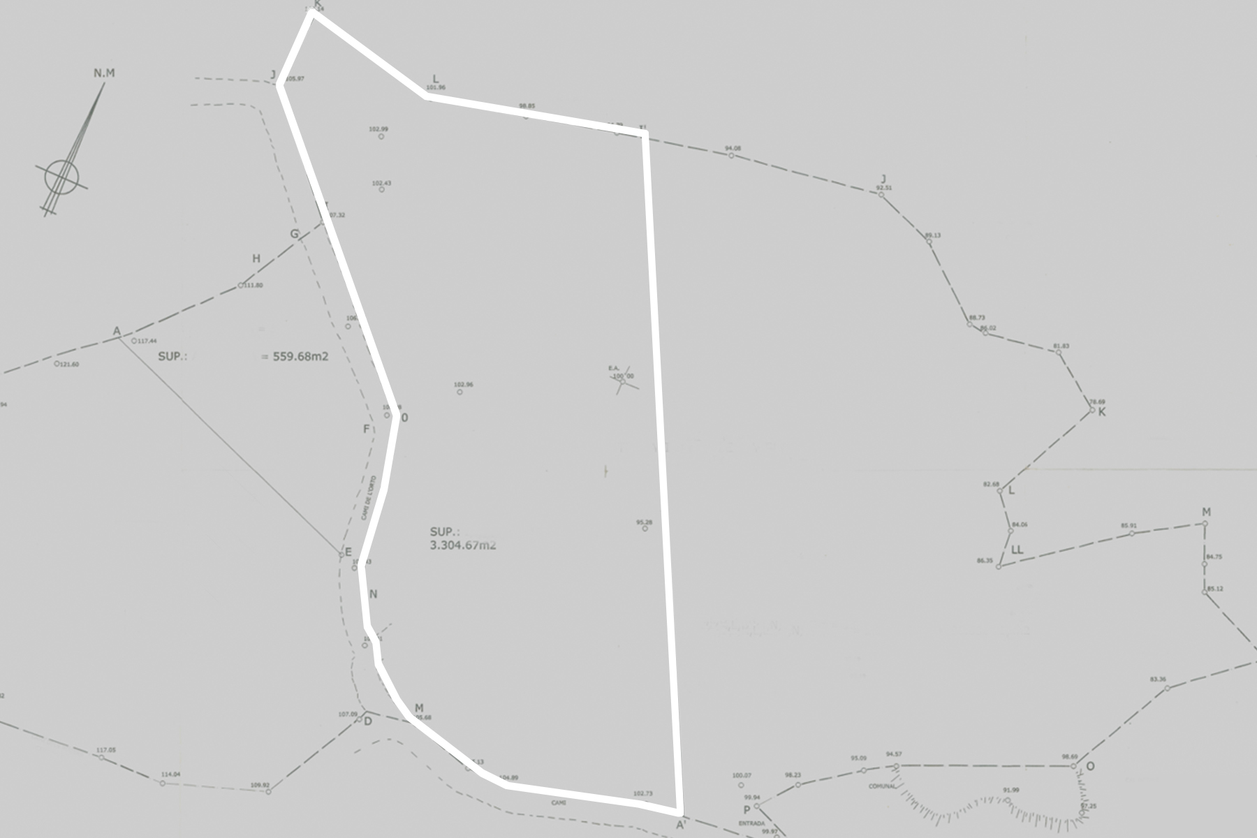 2 Terrenys ubicats a Pal, La Massana. Amb una exte