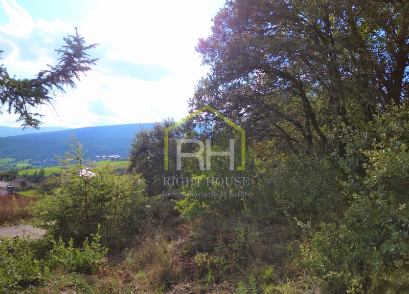 Parcel·la a Ballestar 