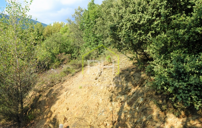 Parcel·la a Ballestar 