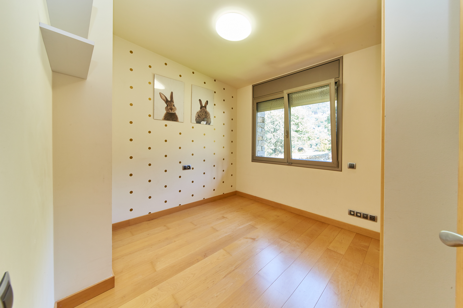 Ideal per a inversors. Espectacular àtic de l