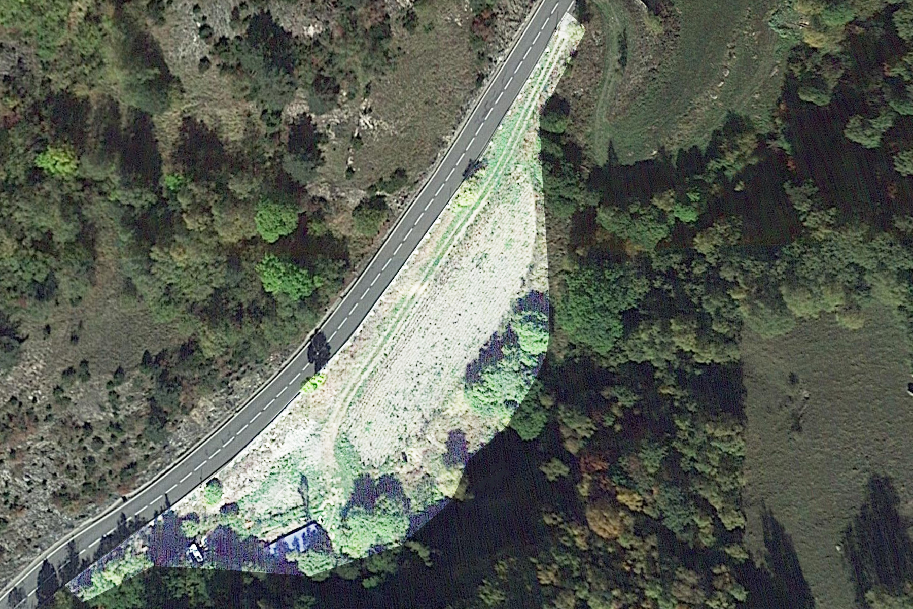 Terreny excepcional ubicat a Pal, La Massana. Amb 