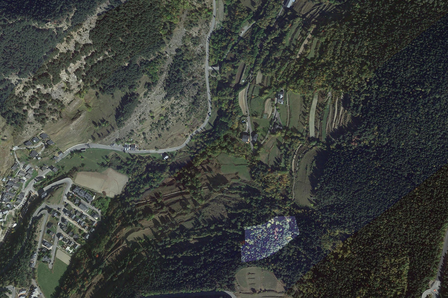 Terreny a Pal, La Massana, amb una extensió de 53