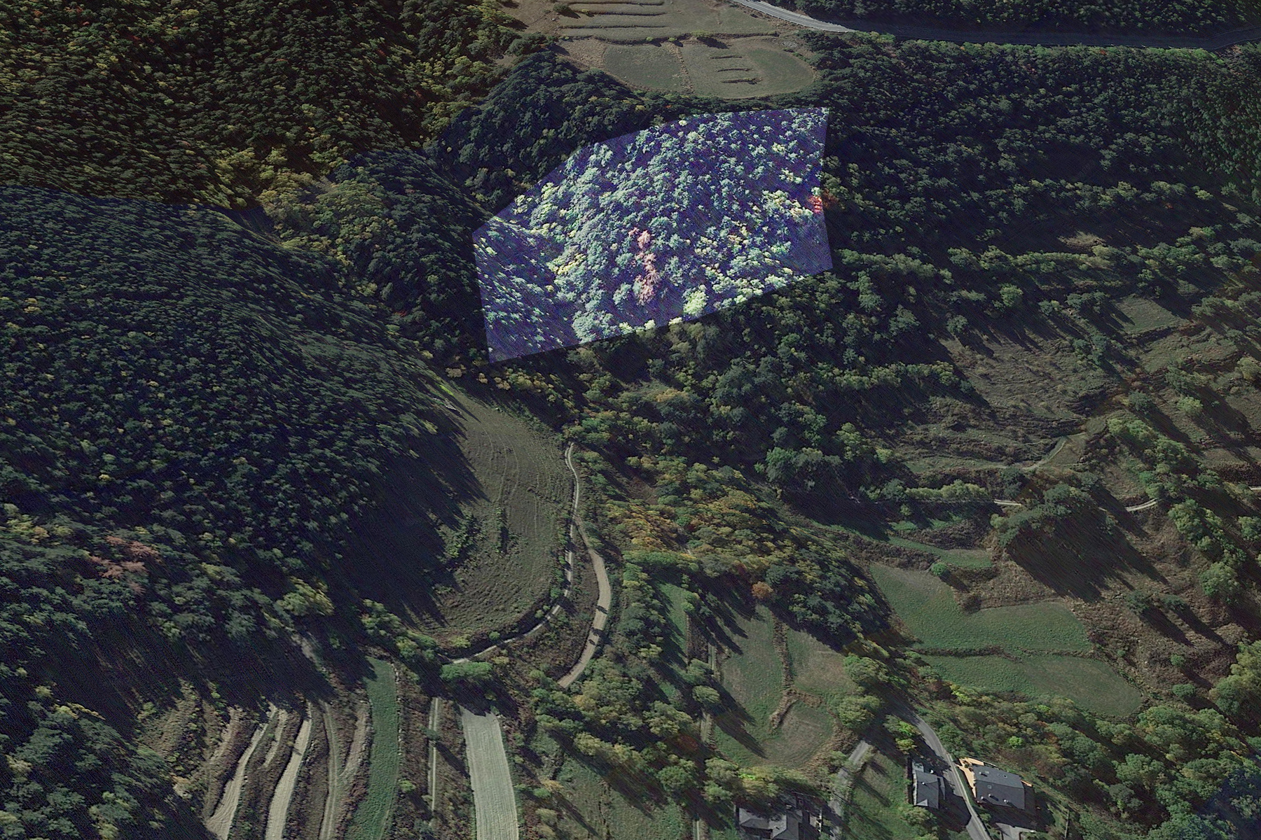 Terreny a Pal, La Massana, amb una extensió de 53