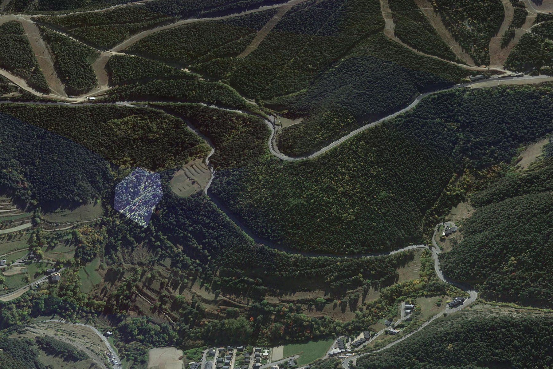 Terreny a Pal, La Massana, amb una extensió de 53