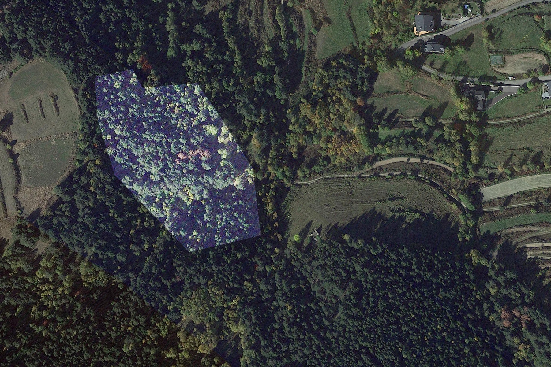 Terreny a Pal, La Massana, amb una extensió de 53