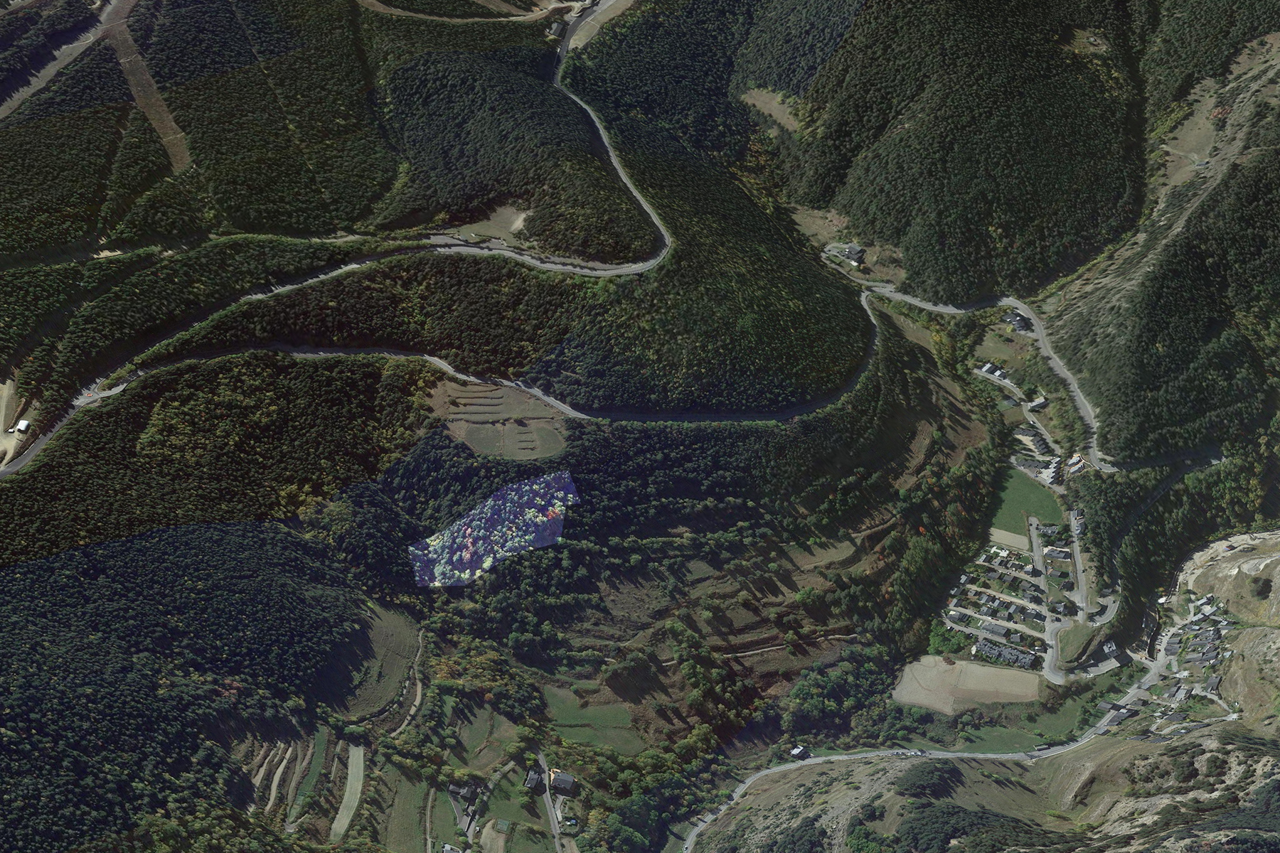 Terreny a Pal, La Massana, amb una extensió de 53