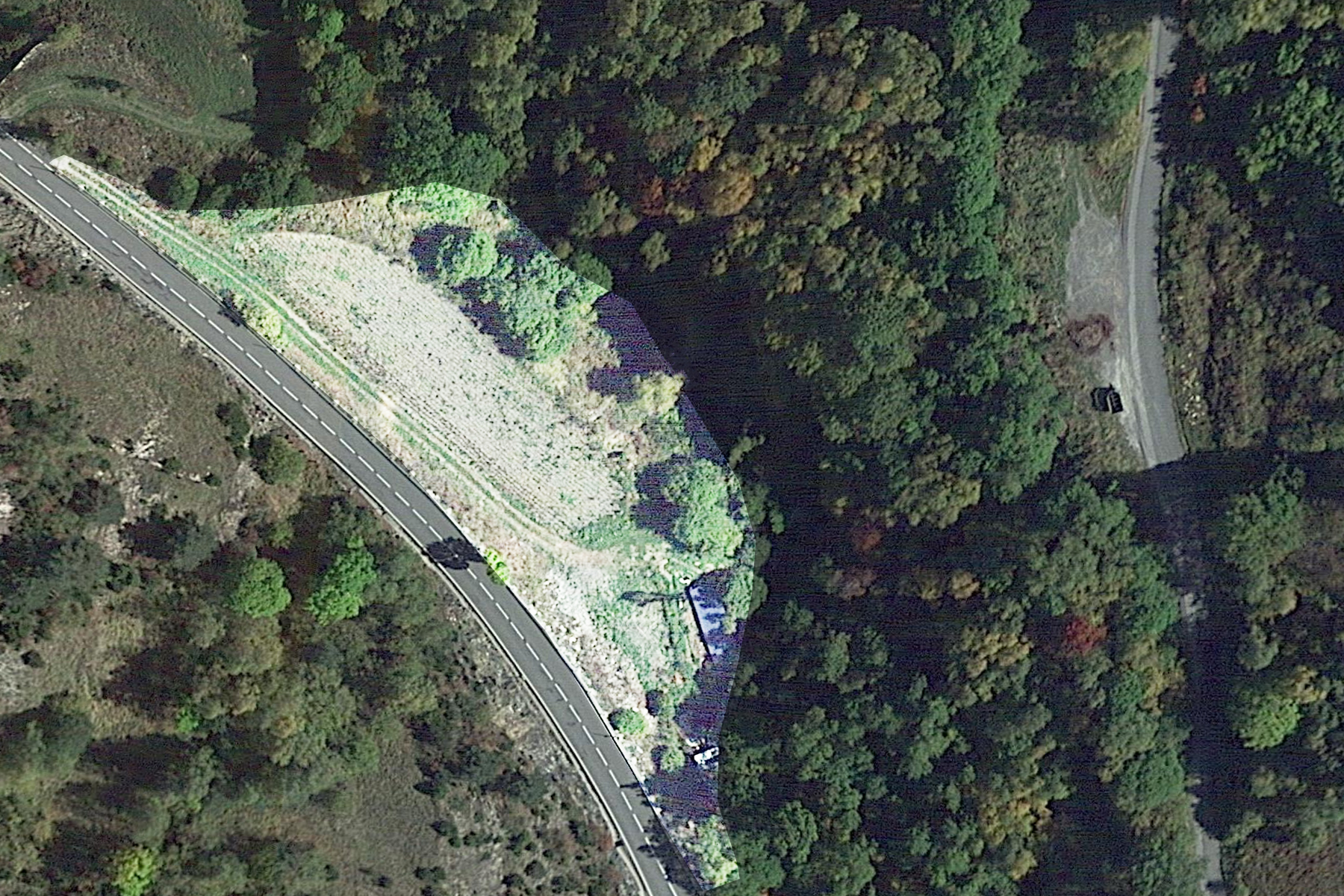 Terreny excepcional ubicat a Pal, La Massana. Amb 