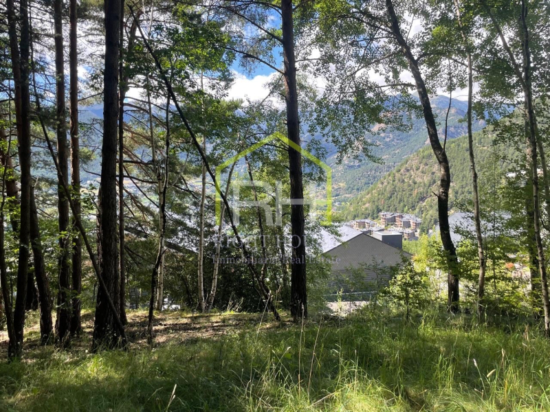 Terreny urbà consolidat a la Massana 