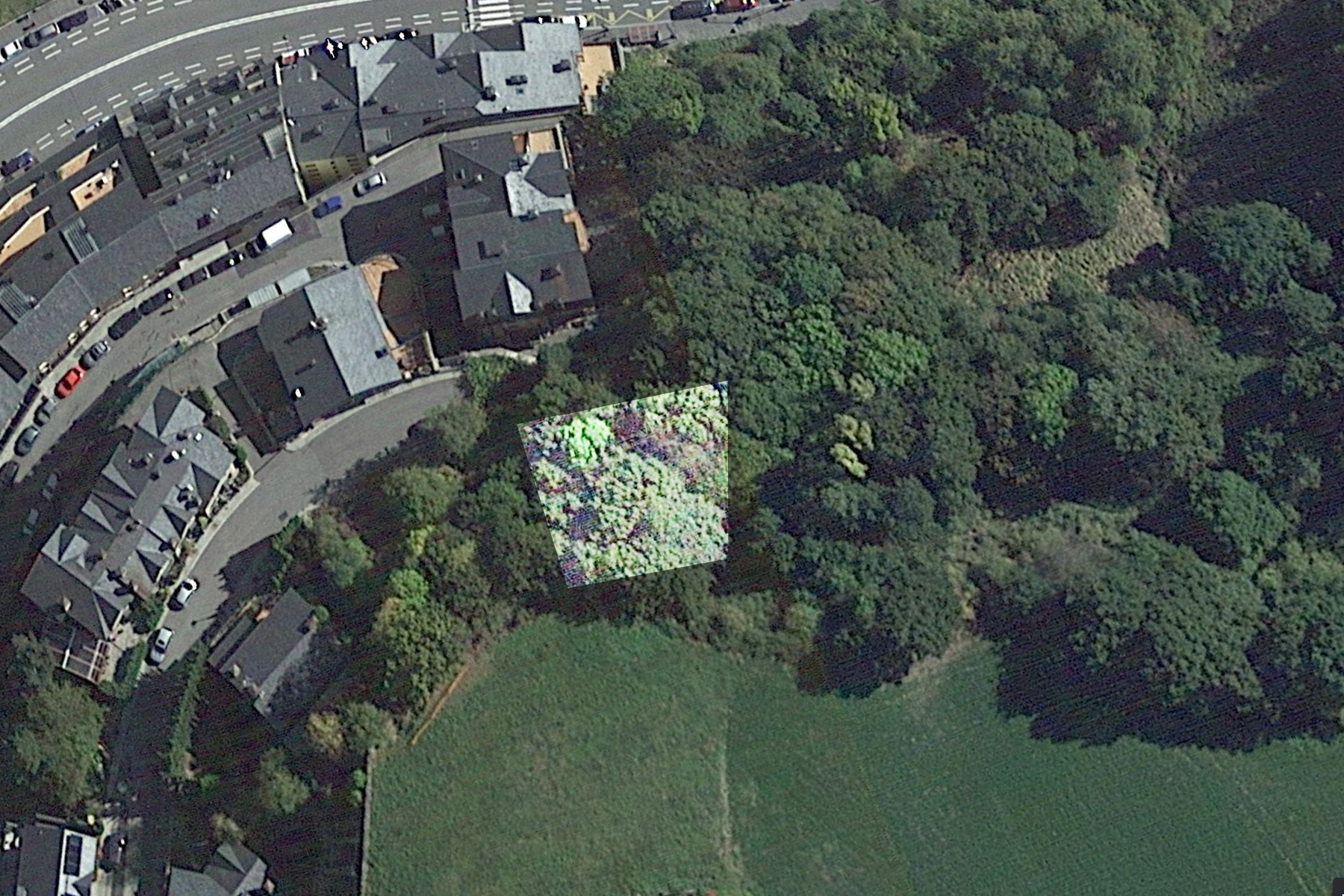 Aquest terreny a La Massana, amb una extensió de 