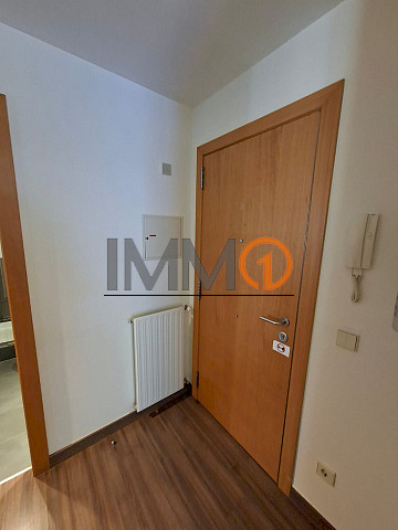  Es lloga magnífic pis de recent construcció sit