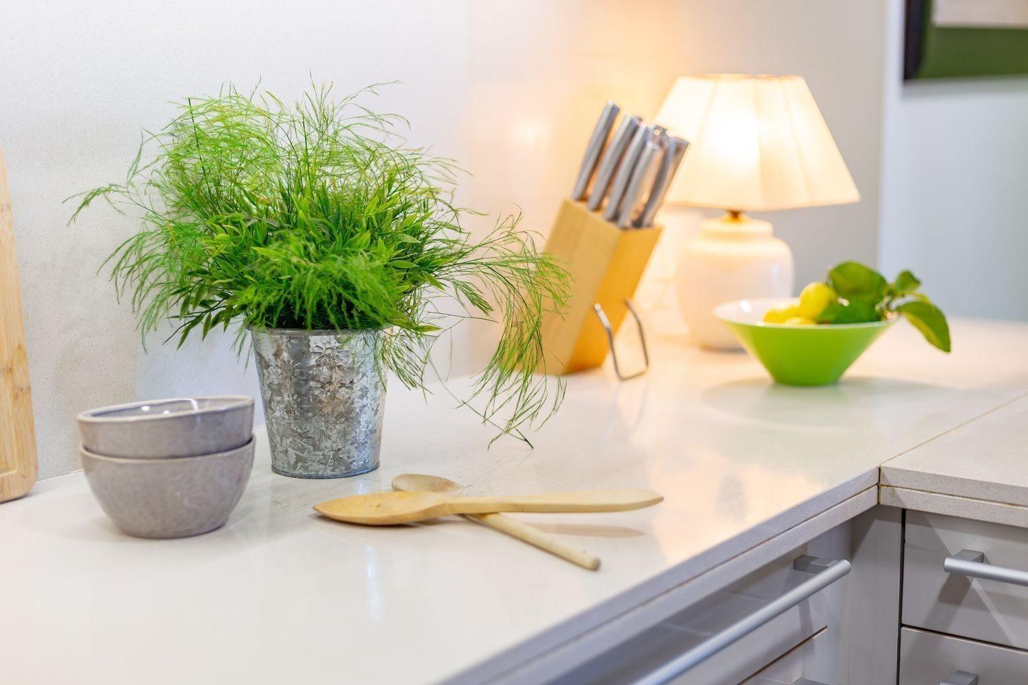 Venda a Castellvell del Camp