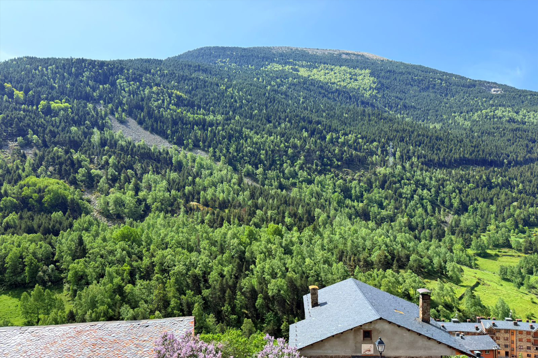 Magnífic pis d´aproximadament 85 m2 que combina 